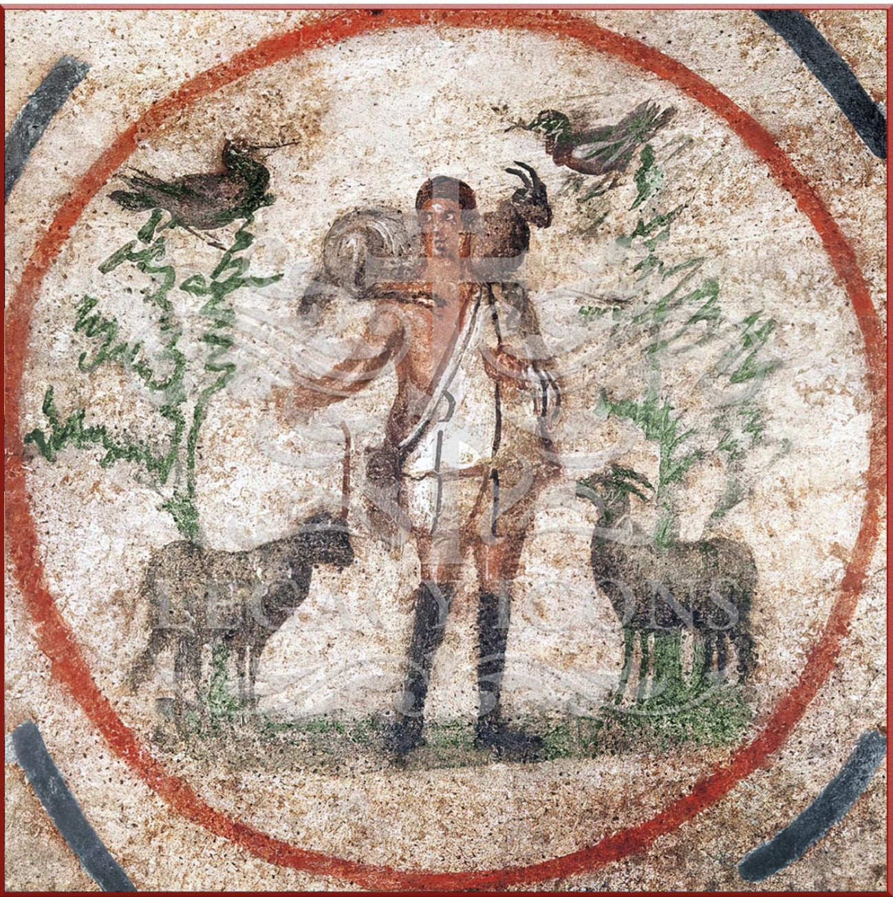 Leading with Wisdom: Scripture, Authority, and the Work of the Church (Part 3 of a three-part series)