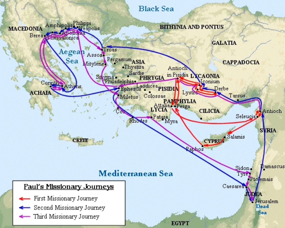 Survey of the New Testament