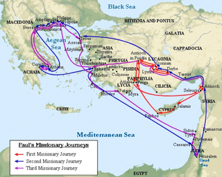Survey of the New Testament