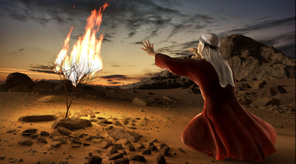 Scripture Is God Speaking: Why This Changes Everything